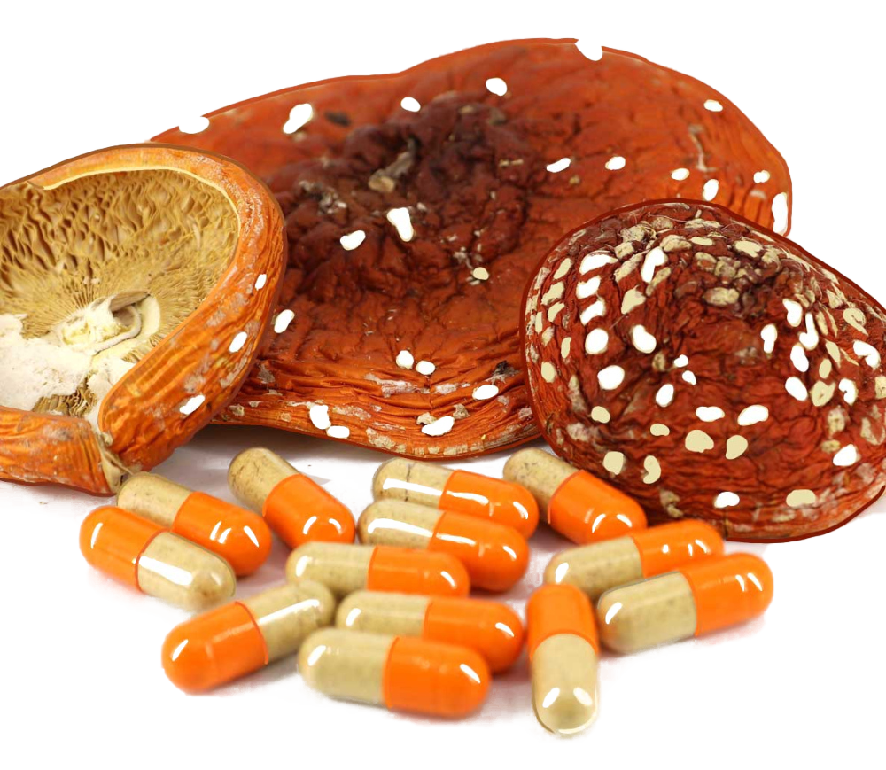 Портрет человека