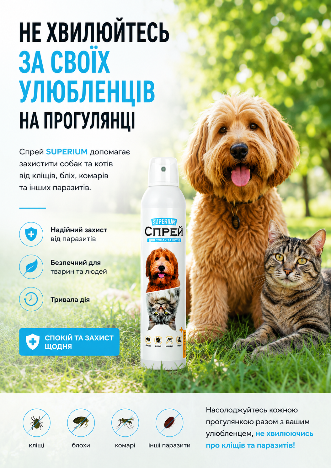 Портрет человека
